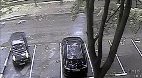 İki gif arasındaki yedi farkı bulun 😁