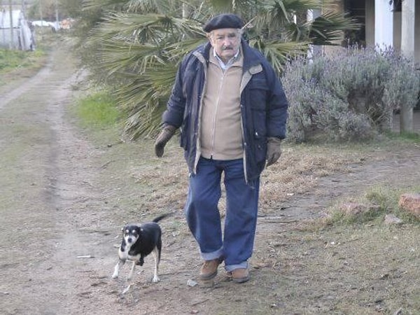 7. Его защищают два телохранителя, которые выполняют свою должность не приближаясь к дому. А еще у него есть трехногая собака.