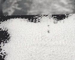 Japon Bilimadamlarından Çılgın Buluş