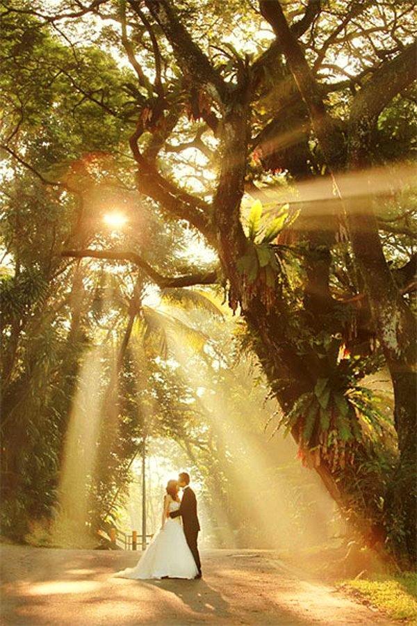 9-Gün ışığı ve ağaçların oluşturduğu o muhteşem elementin fotoğrafı