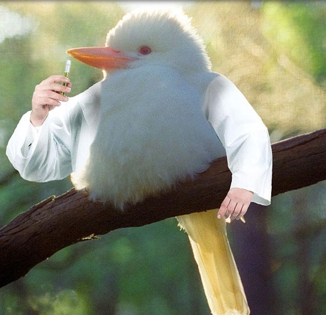 20.