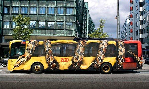 Hayvanat bahçesi tanıtımı için muhteşem bir otobüs giydirmesi