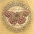 flypresent