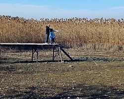 Sapanca Gölü'nün Ölümüne 50 Santimetre Kaldı