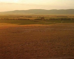 Bu Yaz Çiftçi İçin Zor Geçecek