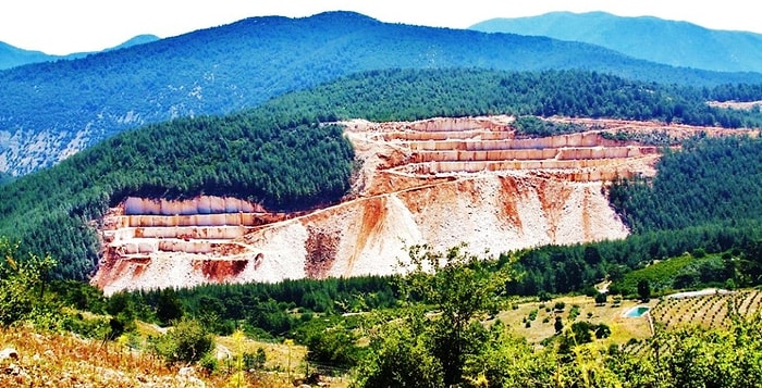 Finike'de Orman Katliamına Suç Duyurusu