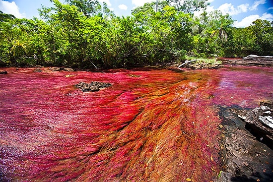 8 Harika Fotoğrafla Dünyanın En Güzel Nehri 'Cennete Giden Nehir'