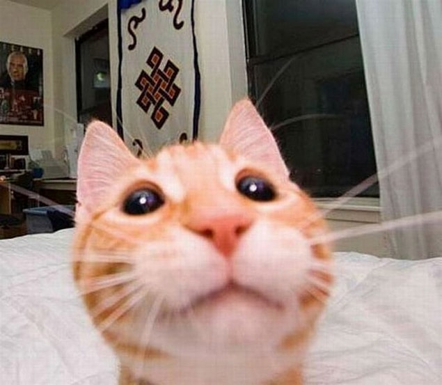 17.