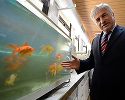 Bursa'nın İçme Suyu 'Japonlara'' Emanet