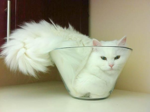 2.