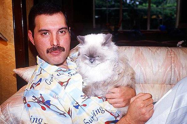 4. Freddie Mercury ile onun bir çok kedisinden biri