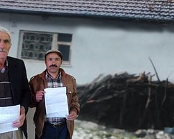‘Ahırda Seçmen Göstermişler’