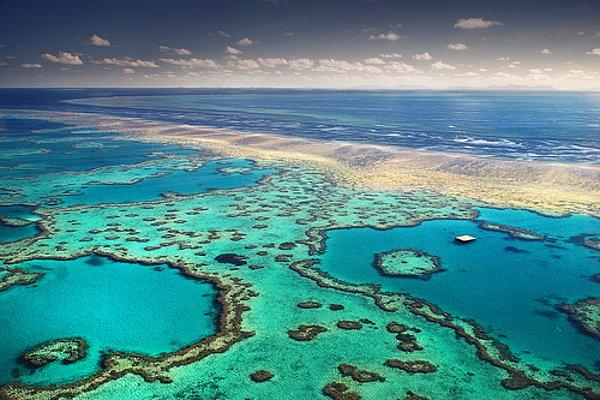 Great Barrier Reef, Avustralya