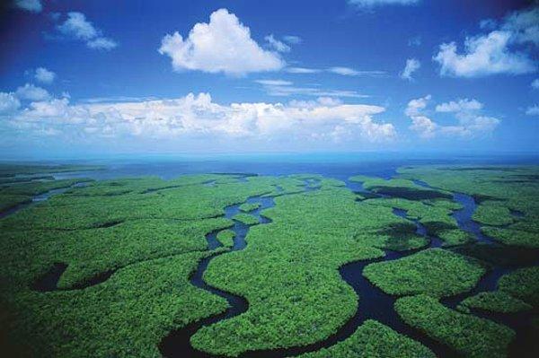 Everglades Doğa Parkı, Florida