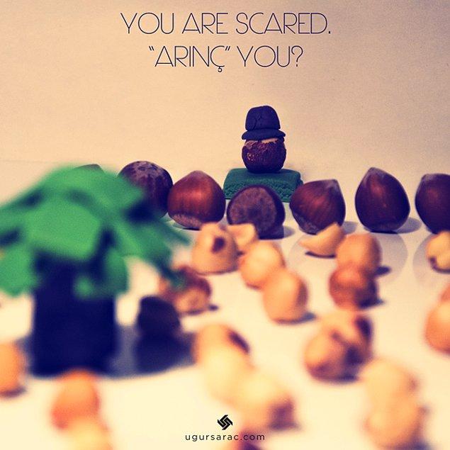 You are Scared. "Arınç" you?