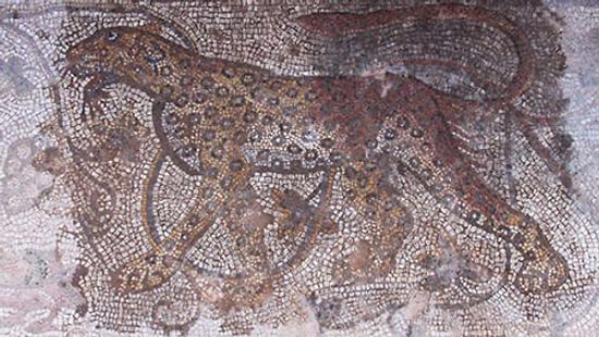 İşte BİM'in Mozaikleri