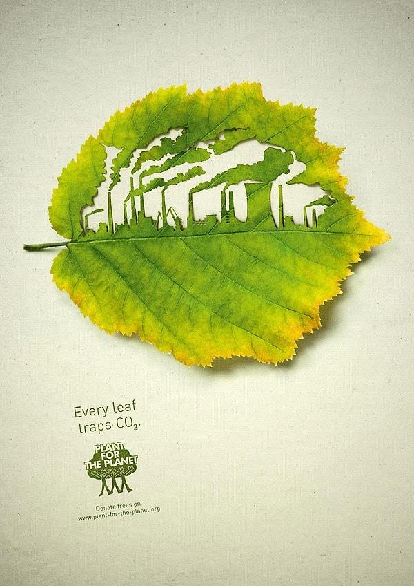 25. Her yaprak oksijen üretir: Gezegen için ağaç dik!