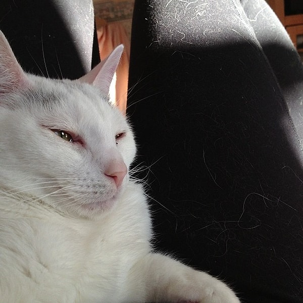 Новый стиль – "шерстяные" черные брюки.