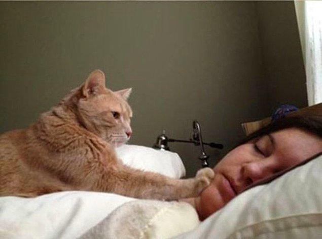 Kedi sonrası uyandırılmak.