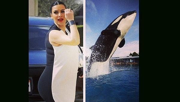 2. Kim Kardashian & Katil Balina