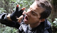 Vahşi doğada hayatta kalma formülleri Top 25 - man vs wild