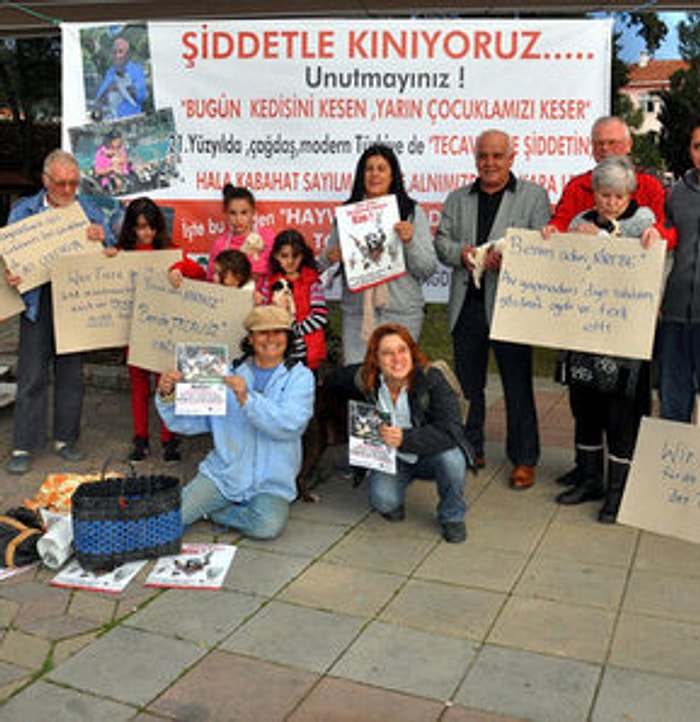 Kedi İşkencesini Protesto Ettiler