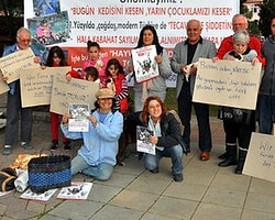 Kedi İşkencesini Protesto Ettiler