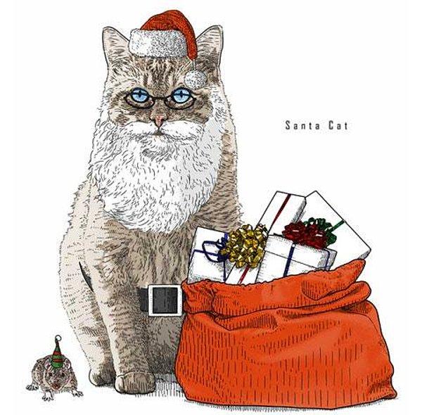 1. Santa Cat