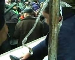Protestocular Valiyi Dövüp Meydandaki Direğe Böyle Kelepçelediler