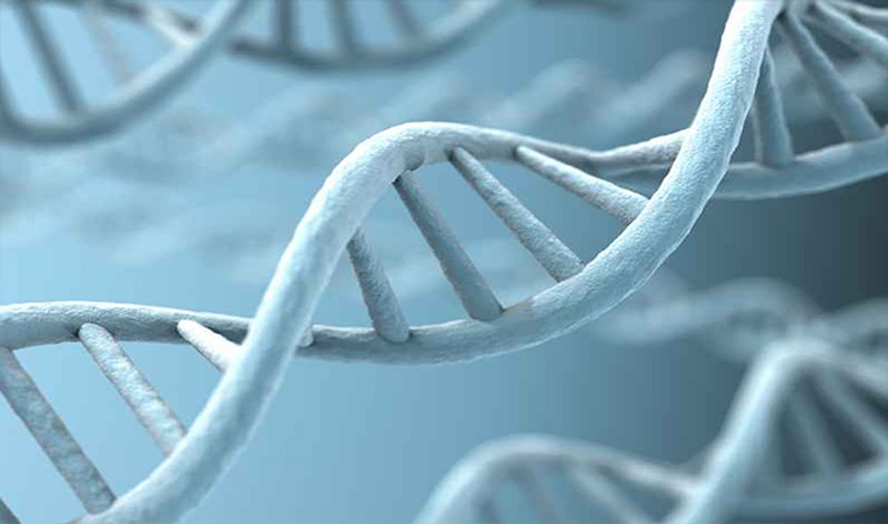 Türklerin Genetik Şifresi Çözüldü