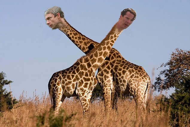 Zürafa