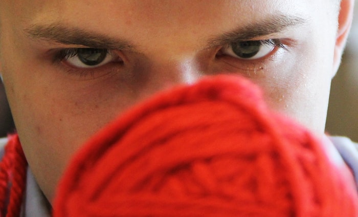 İnsanlar Kedi Gibi Düşünseydi?