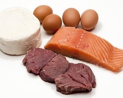 Protein Çeşitleri ve Aralarındaki Farklar