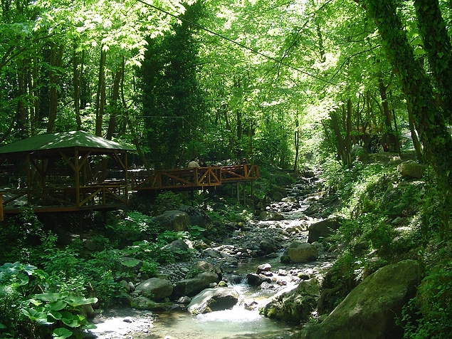 Polonezköy'de brunch yapmak