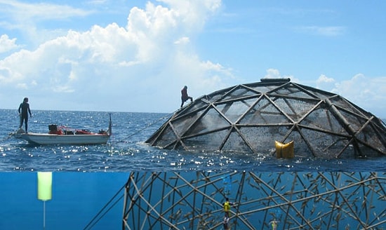 7 Bin Dolarlık Meslek