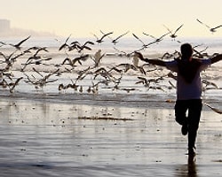 Sizin Fotoğraflarınız: Özgürlük