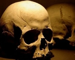 Bin 800 yıllık kafatasına 3 boyutlu yazıcıyla yeni yüz kazandırıldı.