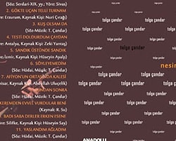Tolga Çandar'dan Yeni Albüm: Nesini Söyliyem