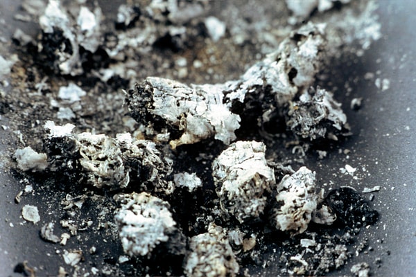 6. Если цветы в горшке вянут и сохнут из-за насекомых, присыпьте корни пеплом. Насекомые умрут от яда.