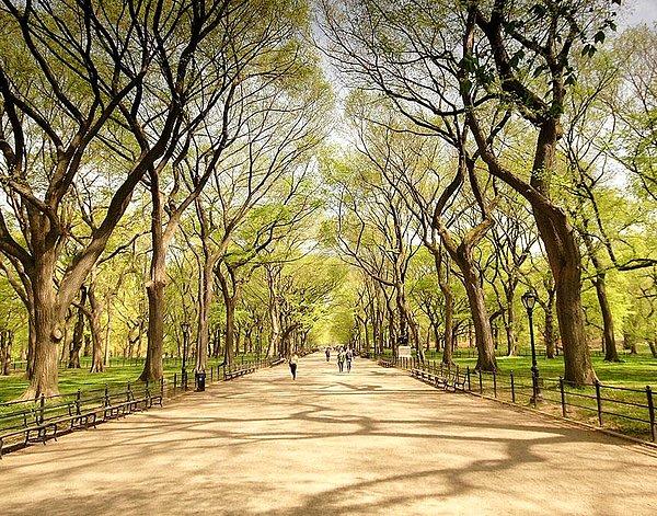 13. Central Park, New York City