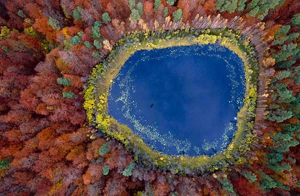 Pomerania Gölü, Polonya