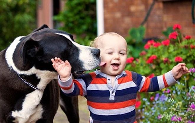 Bebeklerin, Evcil Hayvanlarla 25 Fotoğrafta Dostluğu