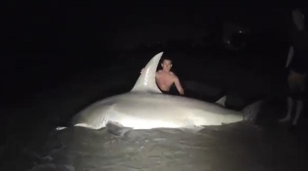 Oltayla Köpekbalığı Yakalamak