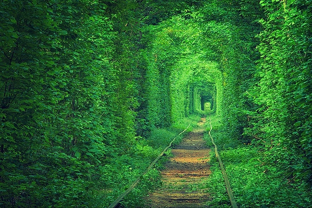 Tunnel of Love, Klevan, Ukraine