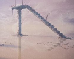 Path To Thalamus