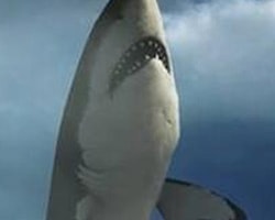 Battlefield 4'Ten ''Dişli'' Bir Easter Egg: Megalodon
