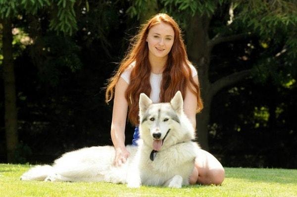5. Sophie Turner dizide sahibi olduğu köpeği gerçek hayatta da sahiplendi
