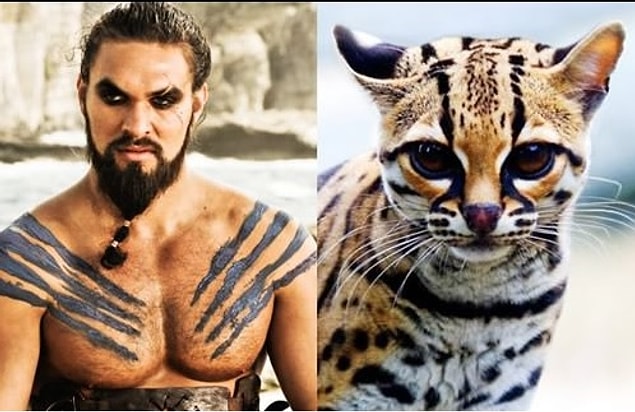 Khal Drogo