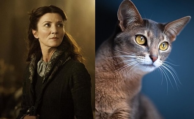 Catelyn Stark