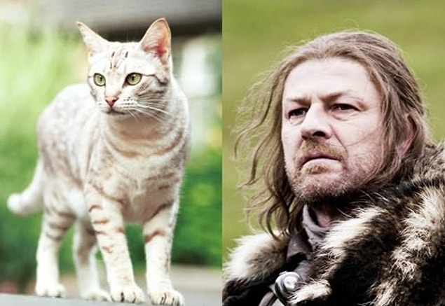 Eddard 'Ned' Stark